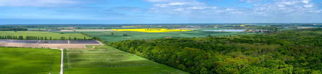 Panorama Felder mit Wald, Rapsfeld und Spargelfeld