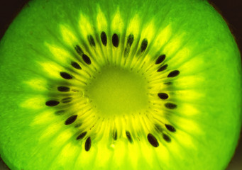 Vibrant kiwi fruit close up.