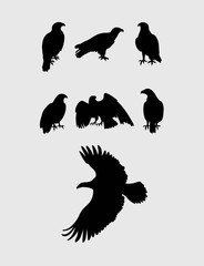 Eagles Silhouettes, art vector design