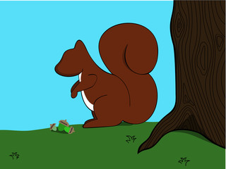 Squirrel eating acorns
