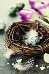 Easter composition with tulips and nest