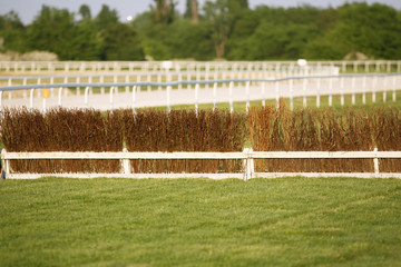 Empty race track for horse racing summertime