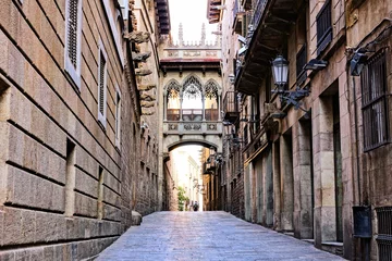  Sierlijke overdekte brug in de Gotische wijk van het oude Barcelona, Spanje © Jenifoto