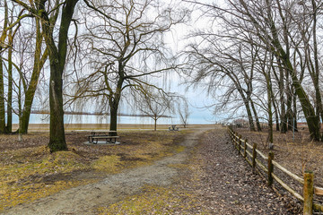 Fototapeta premium Greenn Path