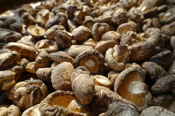 dried shitake mushroom