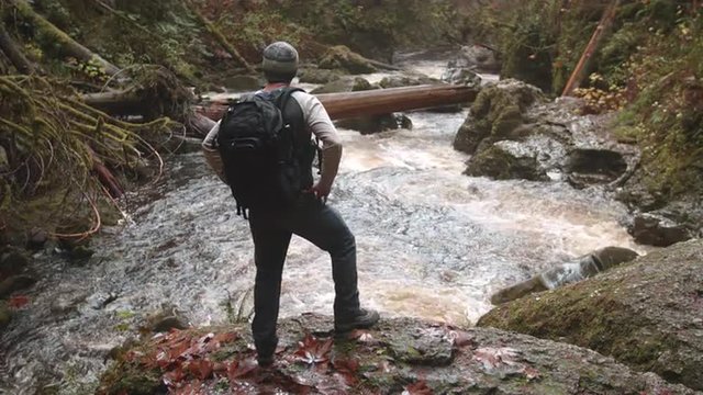 Backpacking Hiker Man Looking at Scenic View of Raging River in Pacific Northwest Mountain Forest