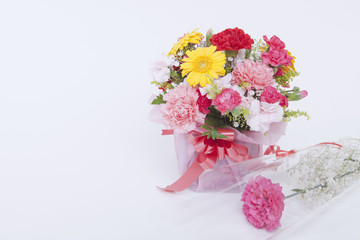 カーネーションの花束　白背景