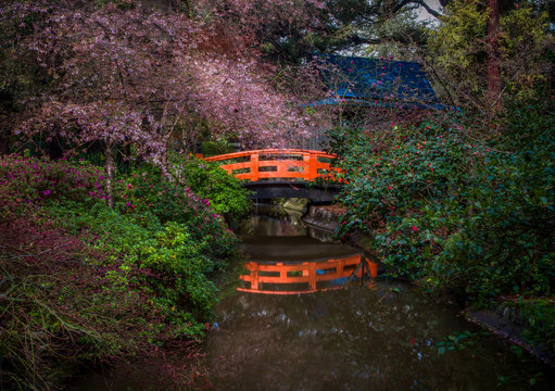 Orange Bridge over Pond