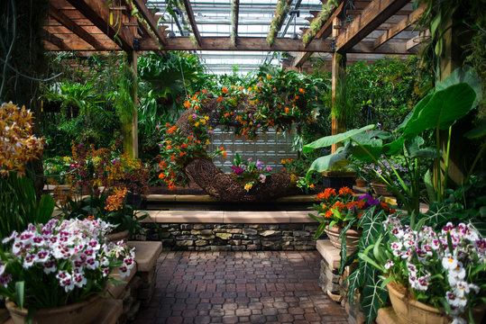 Indoor Garden Images – Browse 649,690 Stock Photos, Vectors, and Video |  Adobe Stock