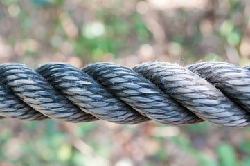 Fototapeta premium Thick rope
