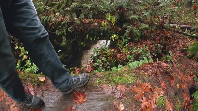 POV Low Angle of Hiker Boots Walking Across Downed Tree Over Raging Canyon River Waterfall in Pacific Northwest Mountain Forest