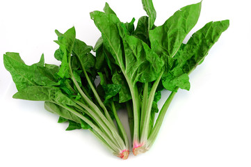 fresh green spinach on white background