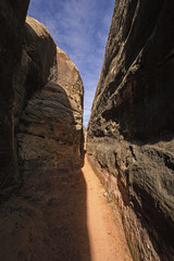 Narrow Canyon Trail in the Desert