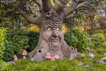 Sprechender Baum mit fröhlichem Gesicht © creativenature.nl