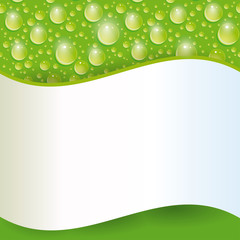 Card with green water drop. Vector