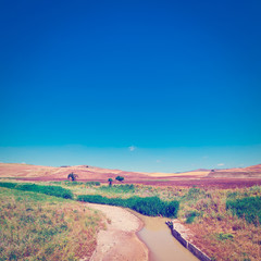 Obraz premium River