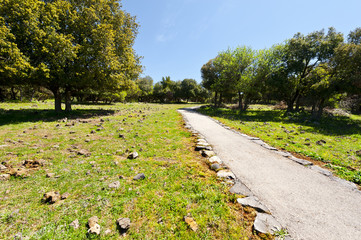Park