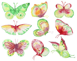  Hand drawn butterflies collection