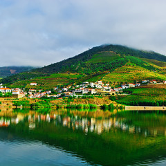 Obraz premium River Douro