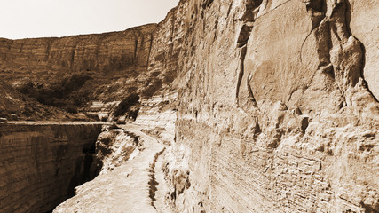 Canyon En Avedat