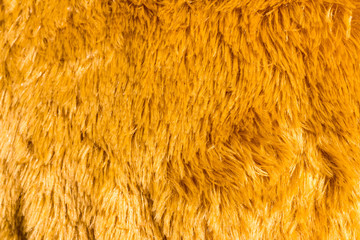 Orange wool background