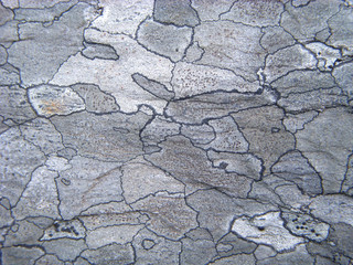  Stone background.Lichens (Rhizocarpum geographicum) covering ro