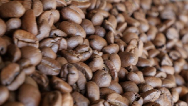 Arabica type coffee beans on table slow dolly 4K 2160p UltraHD footage - Dolly passing by coffee beans on table 4K 3840X2160 UHD video 