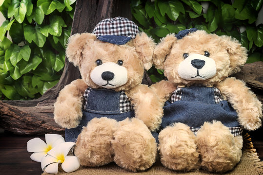 couple teddy bears on graden background