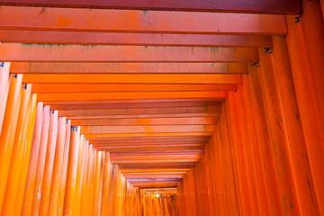 Thousands of vermilion torii gates at Kyoto Fushimi Inari Shrine