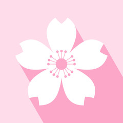 Cherry blossom icon. Sakura icon. All in a single layer. Elements for design. EPS 10 vector illustration for design. Cherry blossom icon on pink background. Cherry blossom Icon with Long Shadow.