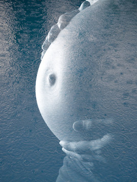 Fertilidad