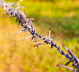 barbed wire and sunlight in the morning.