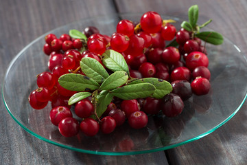 cowberries and red currants in a glass plate, closeup