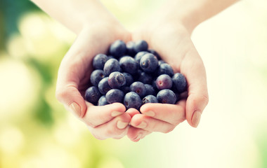 close up of woman hands holding blueberries