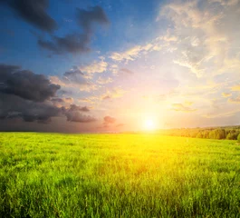 Foto auf Acrylglas Gelb green field and beautiful sunset