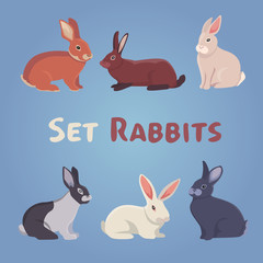 vector illustration of cartoon rabbits