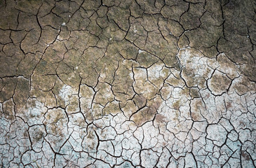 cracked ground for background