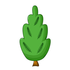 Juniper tree icon, cartoon style
