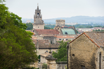 Fototapeta na wymiar Roofs of Avignon