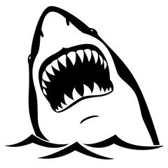 Download Search photos shark