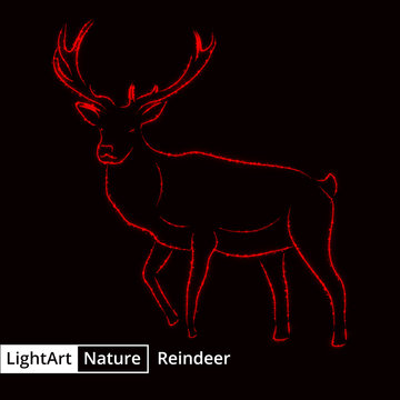 Reindeer silhouette of lights on black background