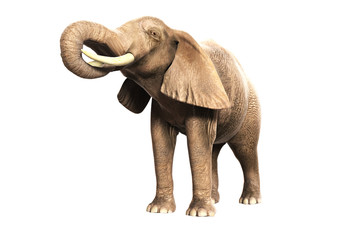 Freigestellter Elefant mit erhobenem Rüssel (gerendertes Bild)