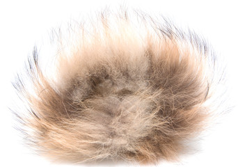 a piece of brown fur on a white background