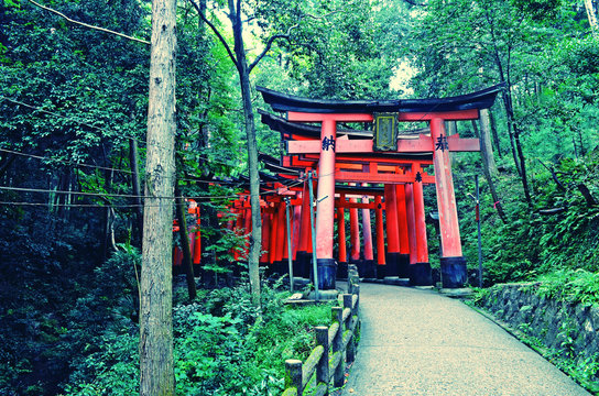Japanese Torii Gates
