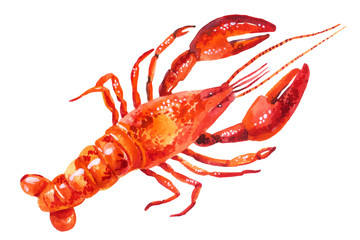 Watercolor illustration of lobster - obrazy, fototapety, plakaty