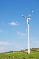 Fototapeta premium Wind energy