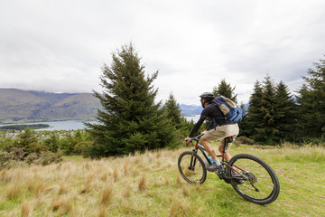 Obraz premium Mountain bike rider at Lake Wanaka, New Zealand