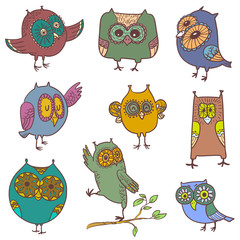 Fototapeta premium Cute owls set