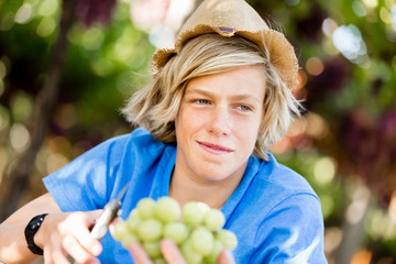 Boy in vineyard
