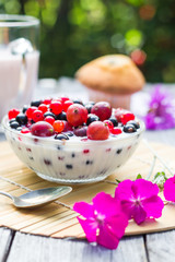 Breakfast garden fruits currants gooseberries buttermilk